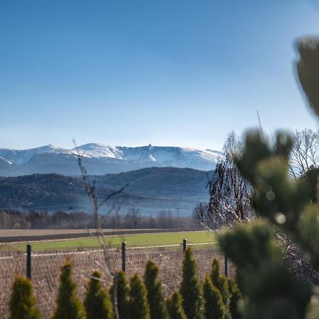 Domki W Karkonoszach Szmaragdowy Widok Wojcieszyce Esterno foto